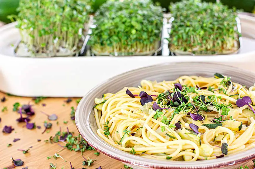 Pasta mit Microgreens Rezept vegan